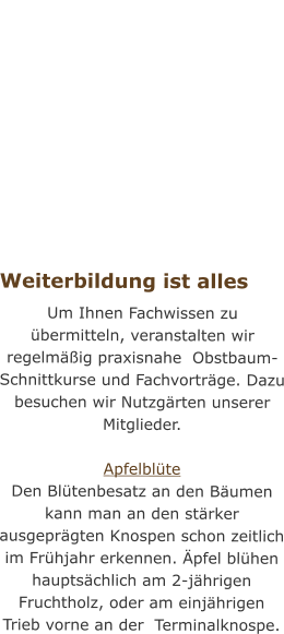 Weiterbildung ist alles Um Ihnen Fachwissen zu übermitteln, veranstalten wir regelmäßig praxisnahe  Obstbaum-Schnittkurse und Fachvorträge. Dazu besuchen wir Nutzgärten unserer Mitglieder.  Apfelblüte Den Blütenbesatz an den Bäumen kann man an den stärker ausgeprägten Knospen schon zeitlich im Frühjahr erkennen. Äpfel blühen hauptsächlich am 2-jährigen Fruchtholz, oder am einjährigen Trieb vorne an der  Terminalknospe.