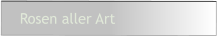 Rosen aller Art