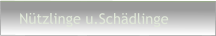 Nützlinge u.Schädlinge