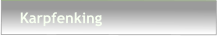 Karpfenking