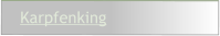 Karpfenking