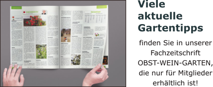 Viele aktuelle Gartentipps finden Sie in unserer Fachzeitschrift OBST-WEIN-GARTEN, die nur für Mitglieder erhältlich ist!