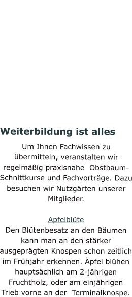Weiterbildung ist alles Um Ihnen Fachwissen zu übermitteln, veranstalten wir regelmäßig praxisnahe  Obstbaum-Schnittkurse und Fachvorträge. Dazu besuchen wir Nutzgärten unserer Mitglieder.  Apfelblüte Den Blütenbesatz an den Bäumen kann man an den stärker ausgeprägten Knospen schon zeitlich im Frühjahr erkennen. Äpfel blühen hauptsächlich am 2-jährigen Fruchtholz, oder am einjährigen Trieb vorne an der  Terminalknospe.