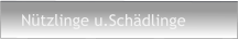 Nützlinge u.Schädlinge