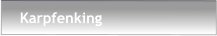 Karpfenking