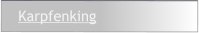 Karpfenking